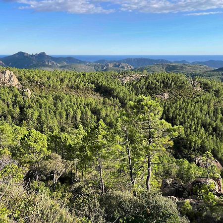 Villa Ormarine, Vue Exceptionnelle Sur La Baie De Cannes Et Le Mercantour Les Adrets-de-l'Esterel Εξωτερικό φωτογραφία
