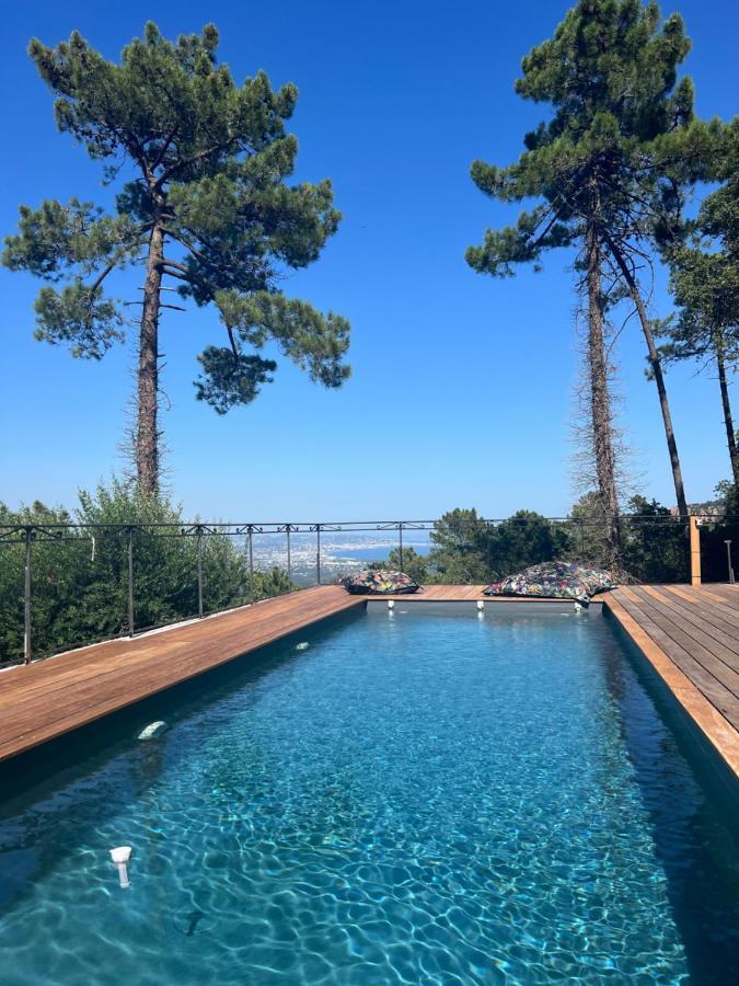 Villa Ormarine, Vue Exceptionnelle Sur La Baie De Cannes Et Le Mercantour Les Adrets-de-l'Esterel Εξωτερικό φωτογραφία