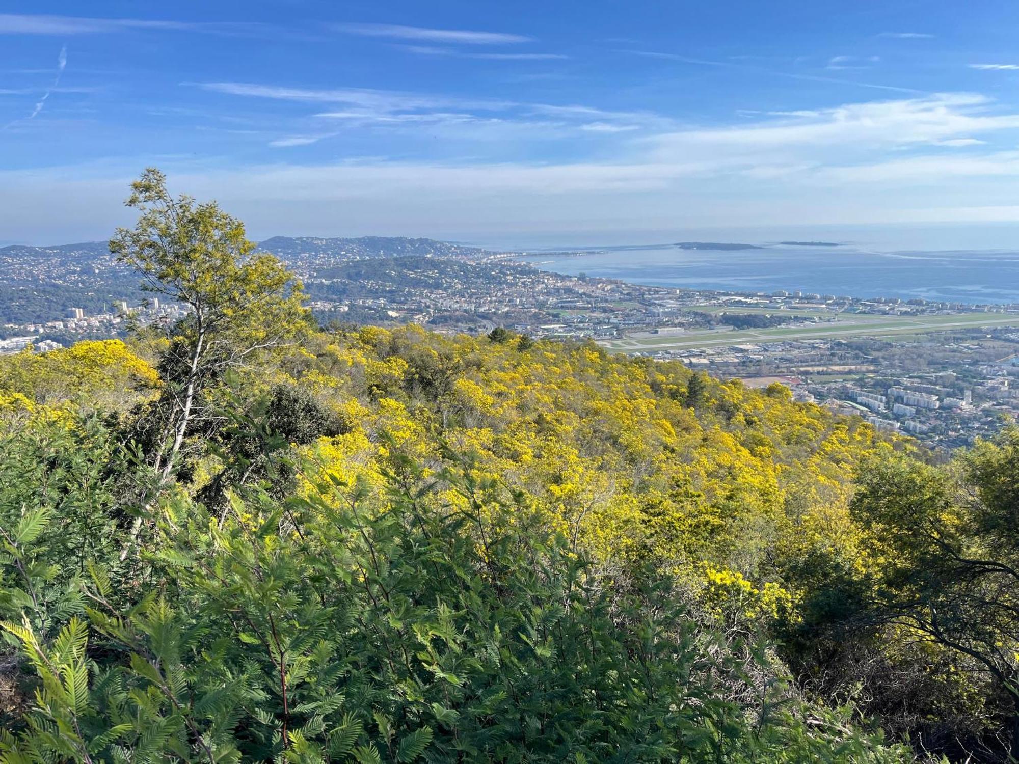 Villa Ormarine, Vue Exceptionnelle Sur La Baie De Cannes Et Le Mercantour Les Adrets-de-l'Esterel Εξωτερικό φωτογραφία