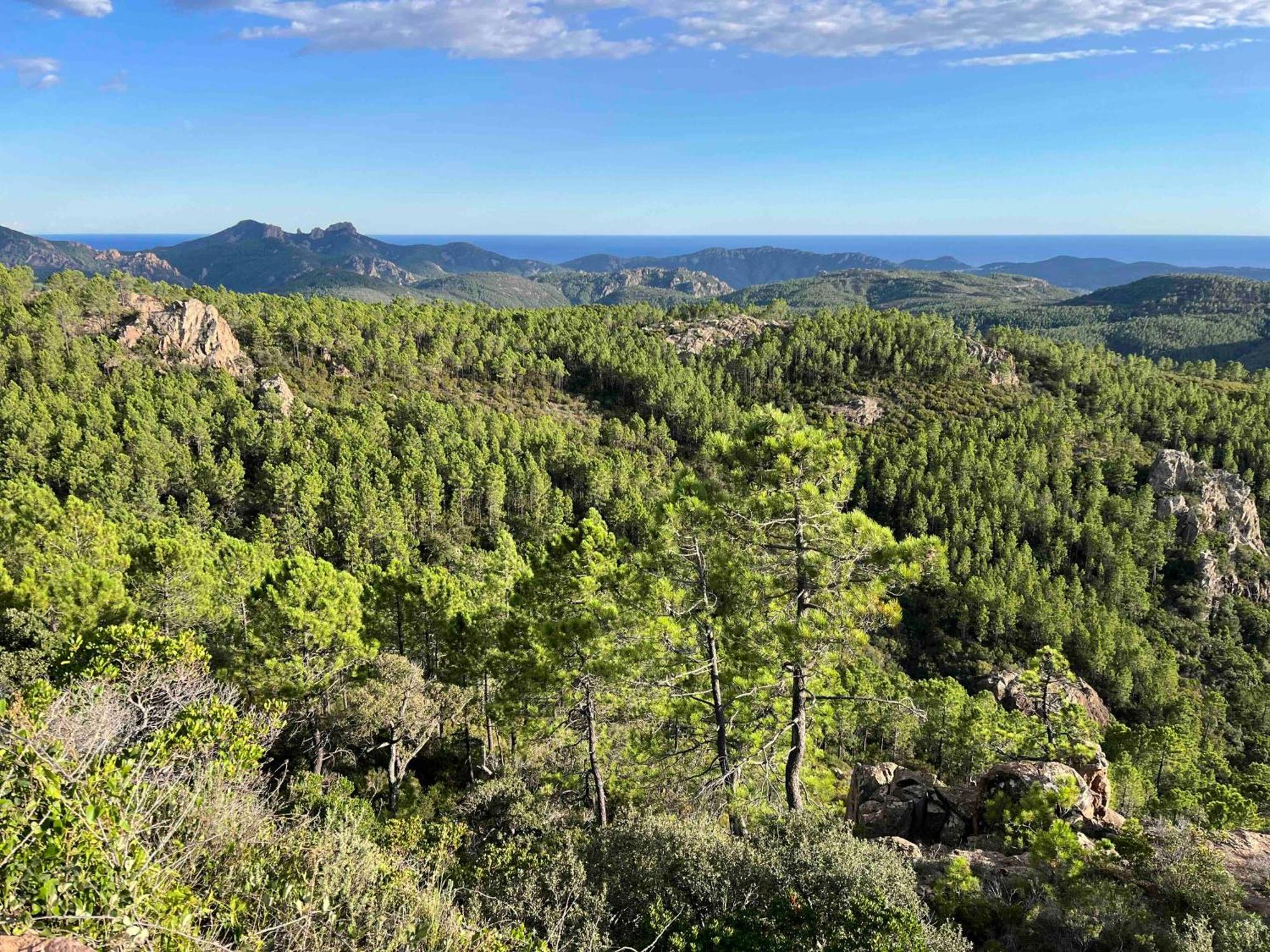 Villa Ormarine, Vue Exceptionnelle Sur La Baie De Cannes Et Le Mercantour Les Adrets-de-l'Esterel Εξωτερικό φωτογραφία
